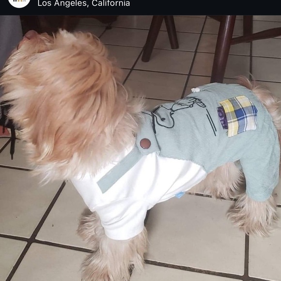 Snoopy overalls - Picture 5 of 5